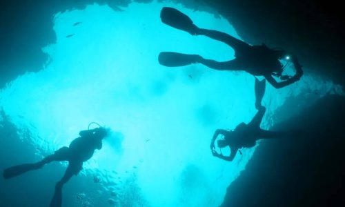 snf_ddive